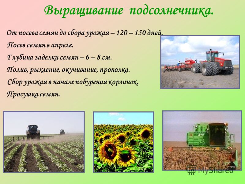 Топ 10 игрушек своими руками 41