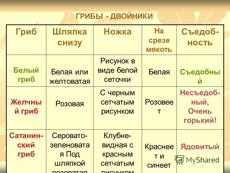 Заполни таблицу названия грибов двойников