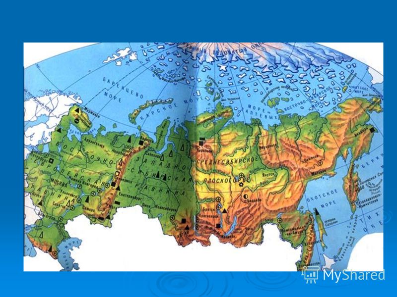 ты мой лучший учитель сочинения ты мой лучший учитель сочинения