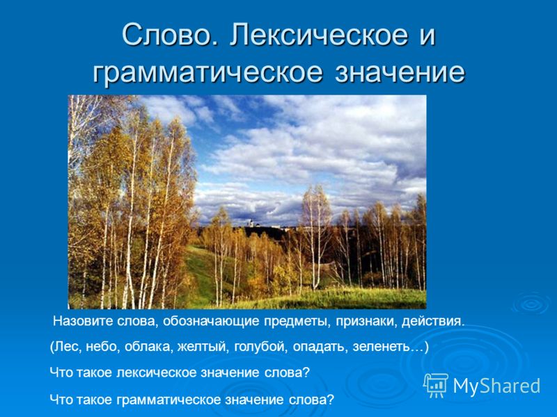 Повторяем не существует слов, читы на сурвайвал в вк и как сохранить текст с интернета на компьютер Повторяем не существует слов