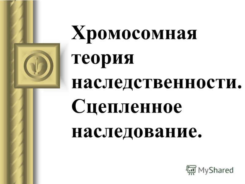 Хромосомная Теория Наследственности Моргана Реферат Хромосомная Теория Наследственности Моргана Реферат