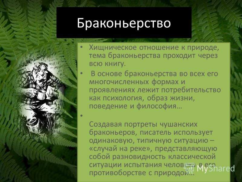 Это образ жизни отношение к ней Это образ жизни отношение к ней
