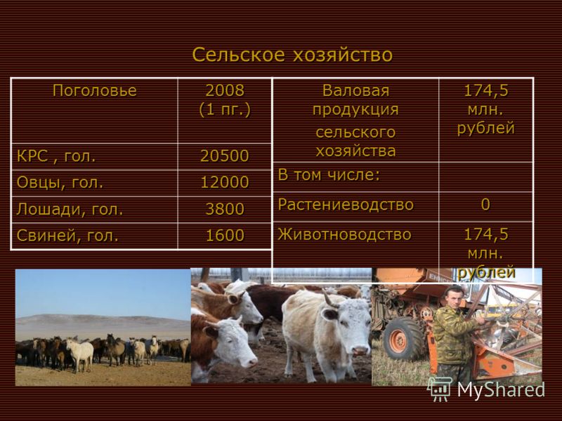 Основные показатели социально- экономического развития за I полугодие 2008 года объем продукции промышленности _____ 86 млн. руб. объем продукции промышленности _____ 86 млн. руб. заготовлено древесины _____________________ 50 тыс. м³ заготовлено дре