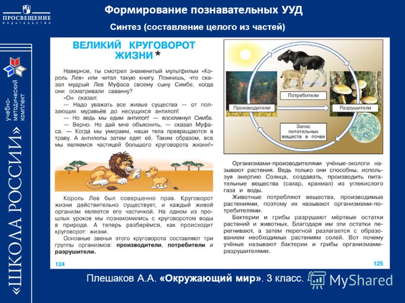 Окружающий мир 4 класс почему для россии важно развитие науки Окружающий мир 4 класс почему для россии важно развитие науки