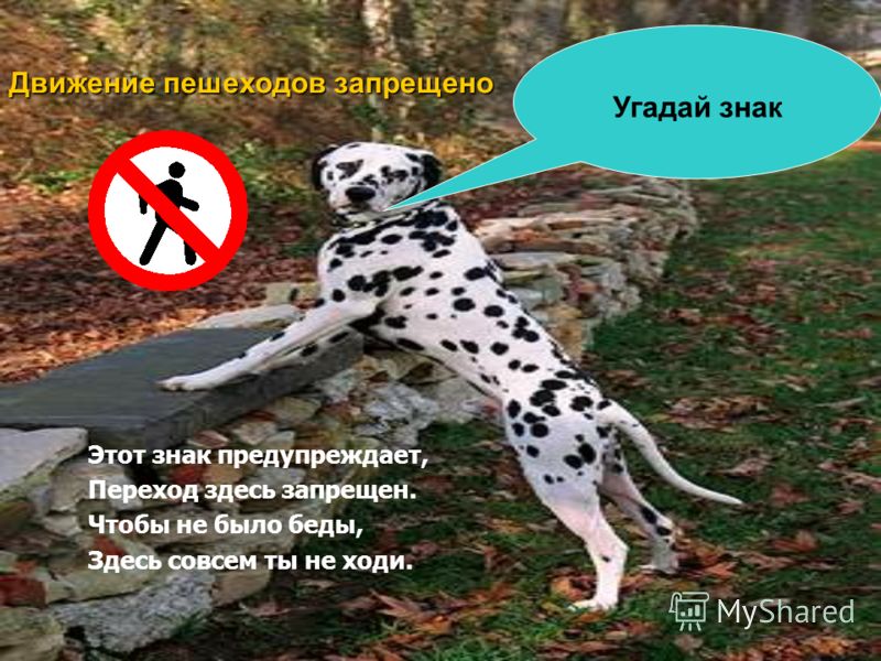 Платное отделение детской стоматологической поликлиники 43