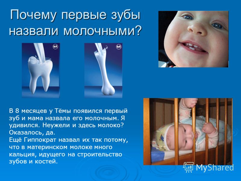 Почему первые зубы назвали молочными? В 8 месяцев у Тёмы появился первый зуб и мама назвала его молочным. Я удивился. Неужели и здесь молоко? Оказалось, да. Ещё Гиппократ назвал их так потому, что в материнском молоке много кальция, идущего на строит