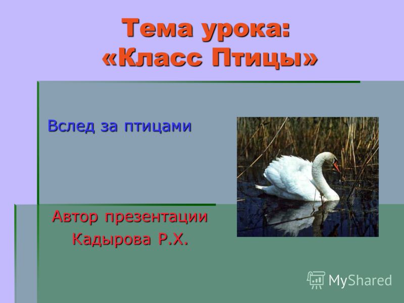 Урок разработка по биологии для 7 класса