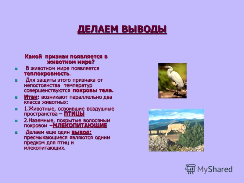 Делаем 7 класс Делаем 7 класс
