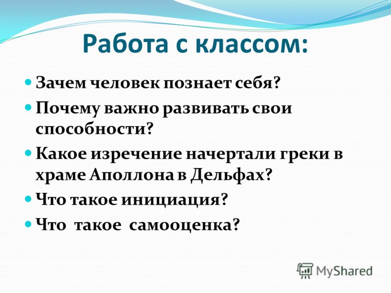 Зачем сажать деревья - MosRosa.ru