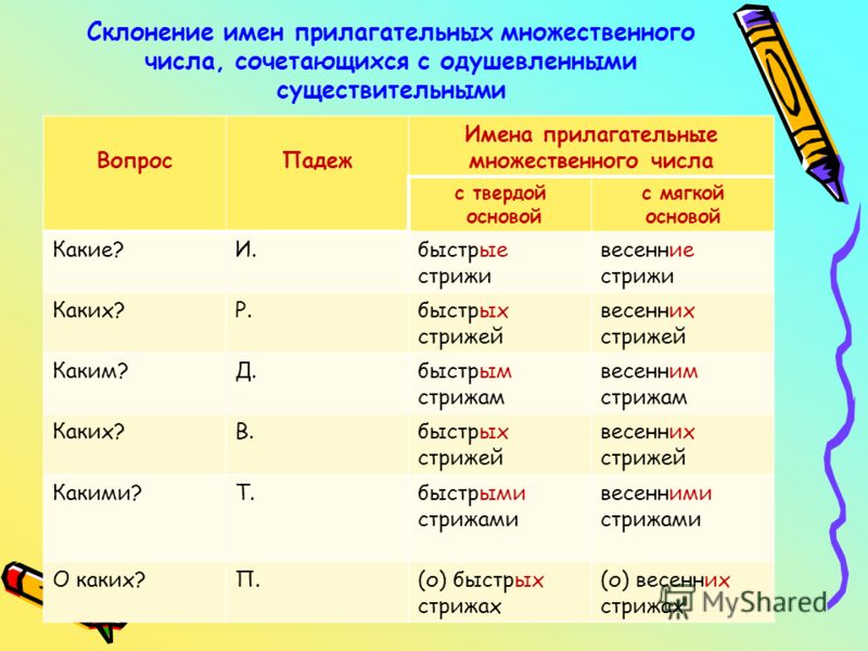 Конспект урока русского языка в 4классе определение падежей и склонение существительных