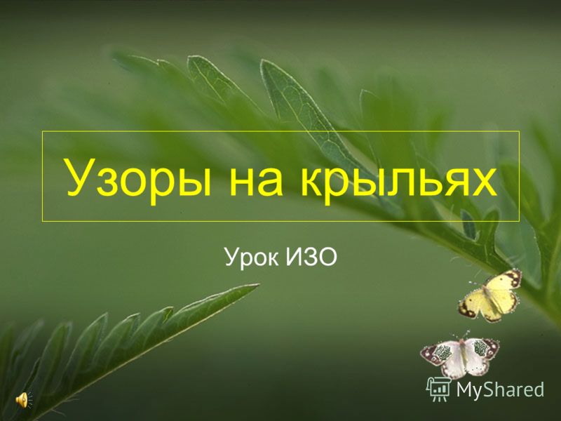 Спал цветок и вдруг проснулся Спал цветок и вдруг проснулся