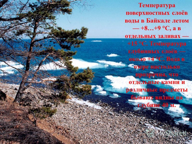 Температура поверхностных слоёв воды в Байкале летом +8…+9 °С, а в отдельных заливах +15 °C. Температура глубинных слоёв около +4 °C. Вода в озере настолько прозрачна, что отдельные камни и различные предметы бывают видны на глубине 40 м.