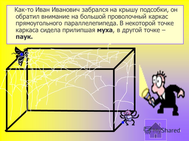 Как-то Иван Иванович забрался на крышу подсобки, он обратил внимание на большой проволочный каркас прямоугольного параллелепипеда. В некоторой точке каркаса сидела прилипшая муха, в другой точке – паук. 4