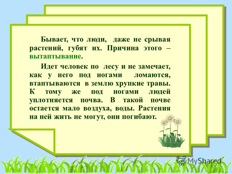 Охрана растений презентация