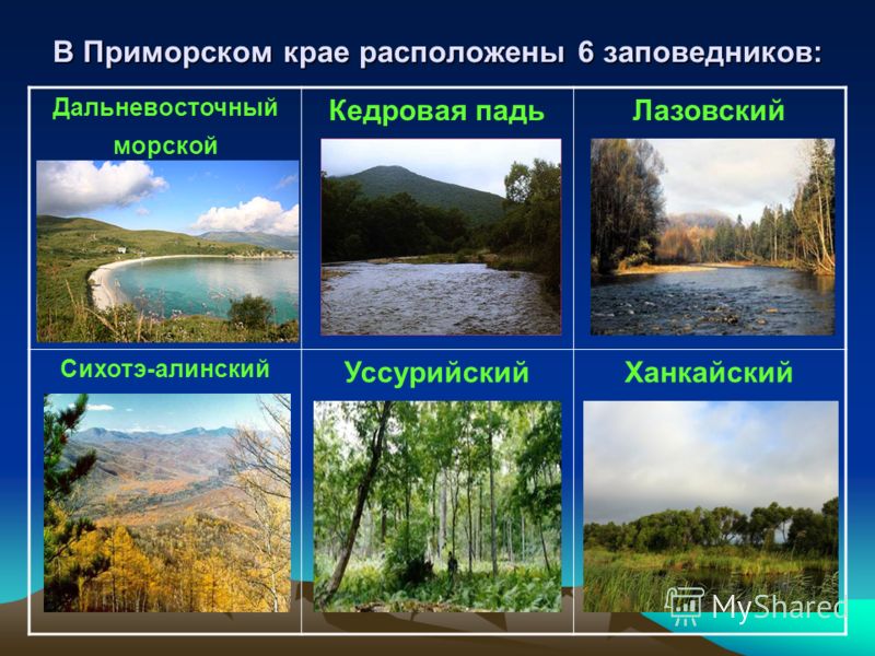Презентация на тему Владивосток Окружающий мир 2 класс - скачать презентацию