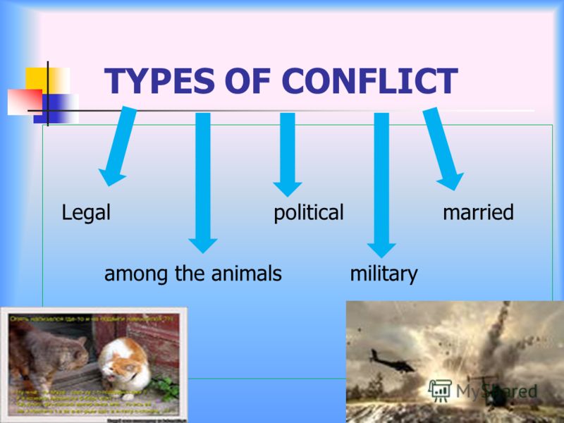 TYPES OF CONFLICT Legalpoliticalmarried among the animals military