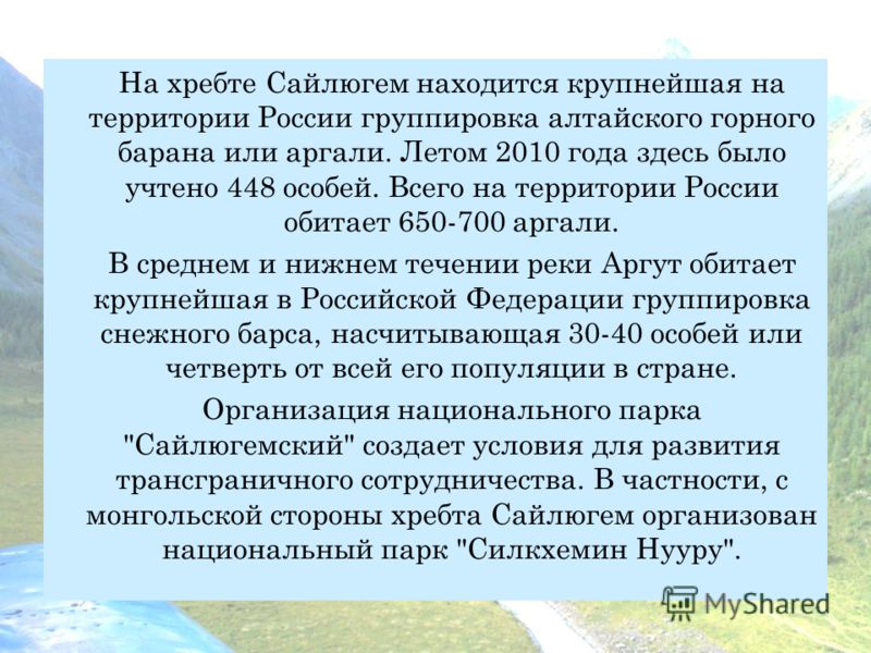 На хребте Сайлюгем находится крупнейшая на территории России группировка алтайского горного барана или аргали. Летом 2010 года здесь было учтено 448 особей. Всего на территории России обитает 650-700 аргали. В среднем и нижнем течении реки Аргут обит
