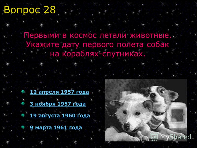 12 апреля 1957 года 3 ноября 1957 года 19 августа 1960 года 9 марта 1961 года Первыми в космос летали животные. Укажите дату первого полета собак на кораблях-спутниках. Вопрос 28
