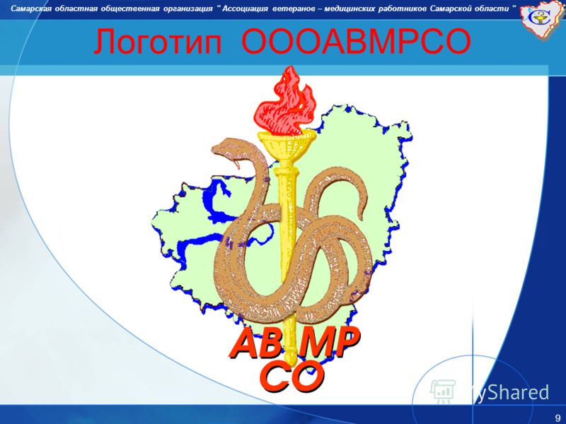 9 Логотип ОООАВМРСО