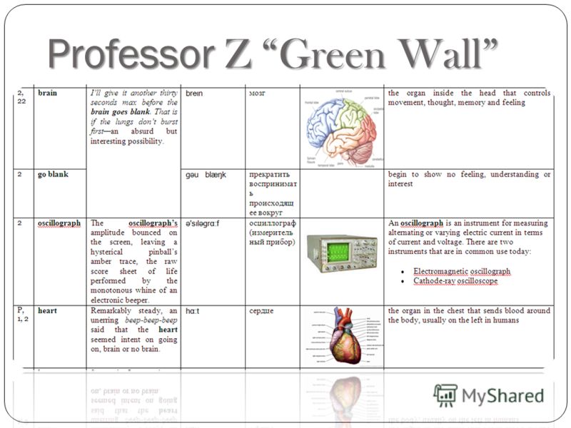 Professor Z Green Wall
