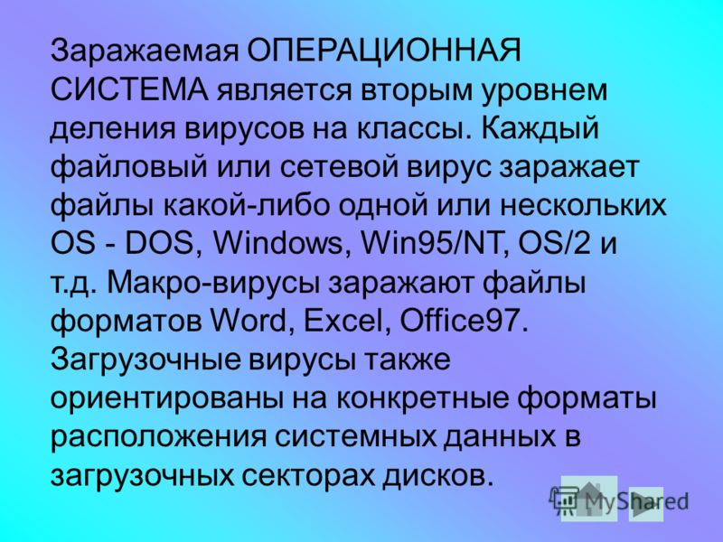 Заражаемая ОПЕРАЦИОННАЯ СИСТЕМА является вторым уровнем деления вирусов на классы. Каждый файловый или сетевой вирус заражает файлы какой-либо одной или нескольких OS - DOS, Windows, Win95/NT, OS/2 и т.д. Макро-вирусы заражают файлы форматов Word, Ex