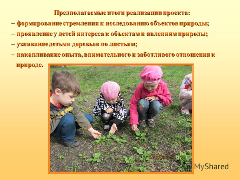Уход за декоративными кроликами и содержание их в домашних Сыпь на ступнях - Сыпи(высыпания)