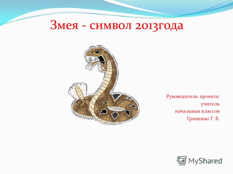 Змея - символ 2013года Руководитель проекта: учитель начальных классов Гриценко Г. В.