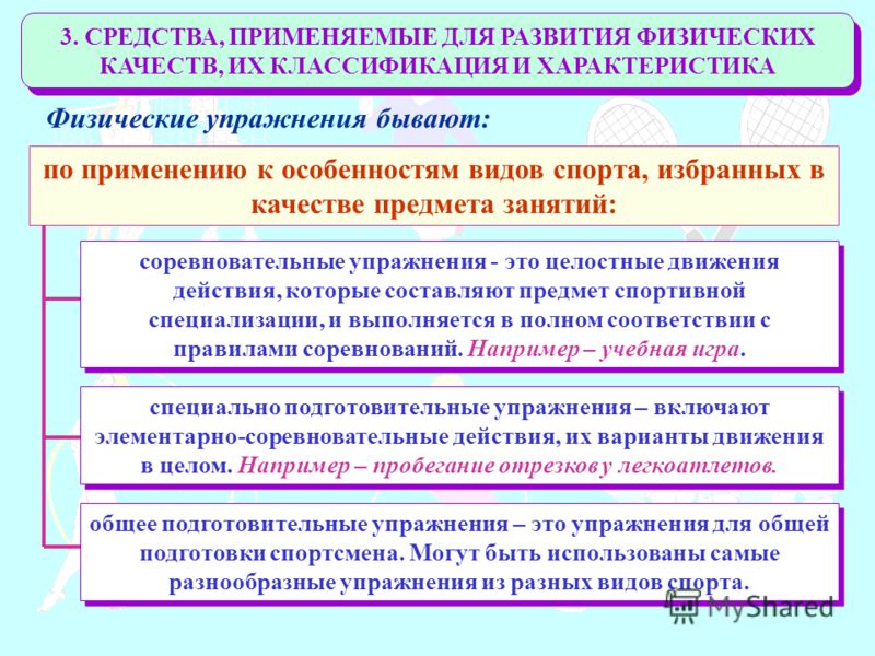 Физические Способности Человека И Их Развитие Реферат Физические Способности Человека И Их Развитие Реферат