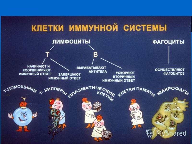 Купить Кресла плетеные с доставкой по России Кременчуг что такое, Кременчуг кто такой, Кременчуг что значит