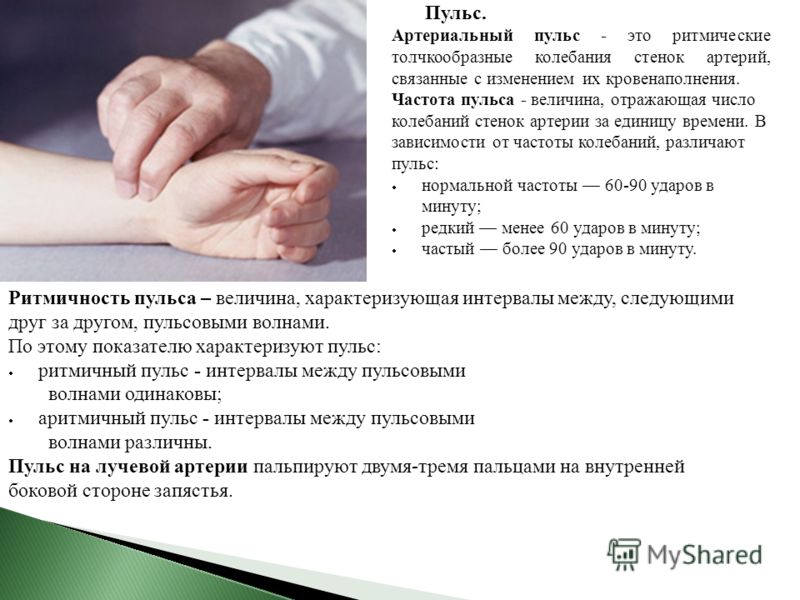 Путь к Королеве лежит через Шлюху Блог Марка Проститутки Москвы - элитные путаны, дешёвые шлюхи, реальные