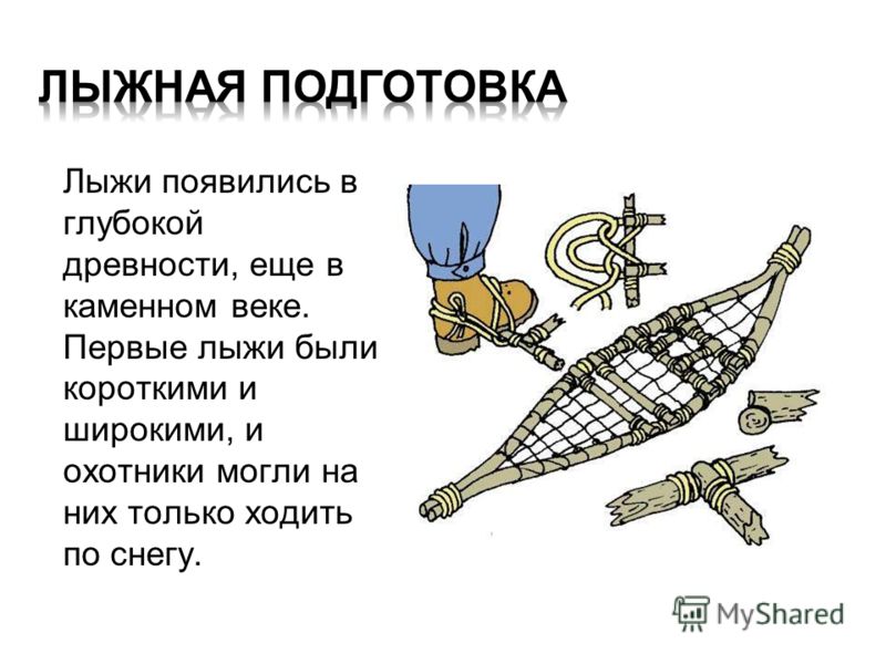 Реферат По Физкультуре Тема Лыжи