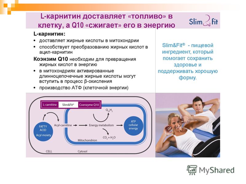 Болезни связанные с витаминами Болезни связанные с витаминами