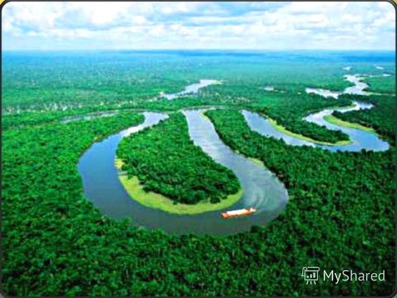 Амазонская низменность - самая большая низменность на Земле, S > 5 млн. км².