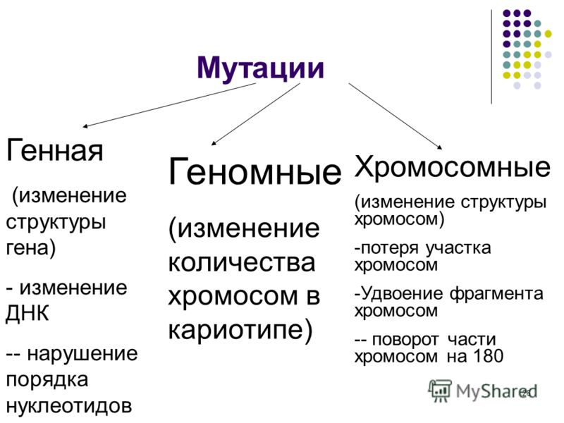 Не связано с изменениями хромосом Не связано с изменениями хромосом