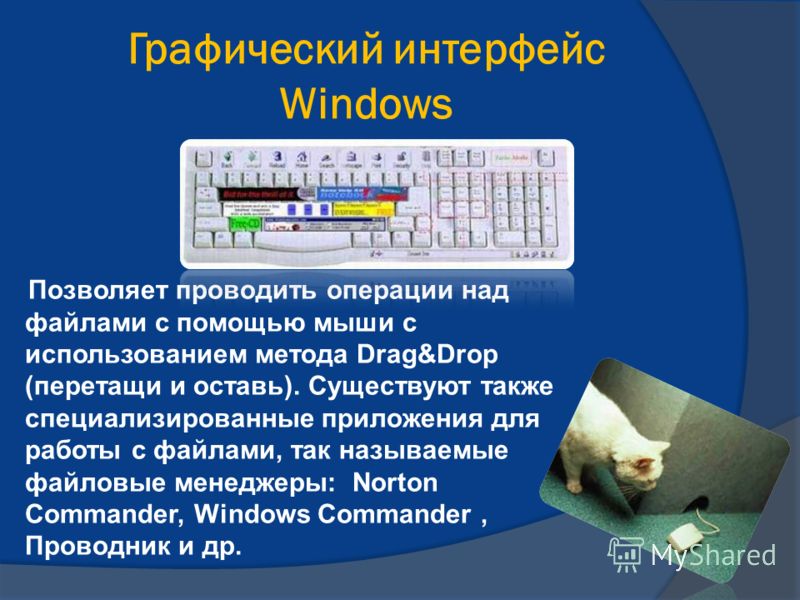 Графический интерфейс Windows Позволяет проводить операции над файлами с помощью мыши с использованием метода Drag&Drop (перетащи и оставь). Существуют также специализированные приложения для работы с файлами, так называемые файловые менеджеры: Norto