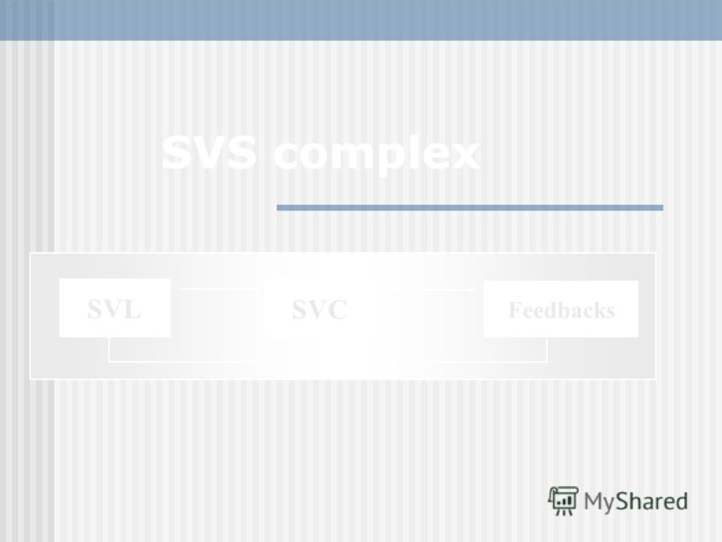 SVS complex SVL SVC Feedbacks SVL SVC Feedbacks