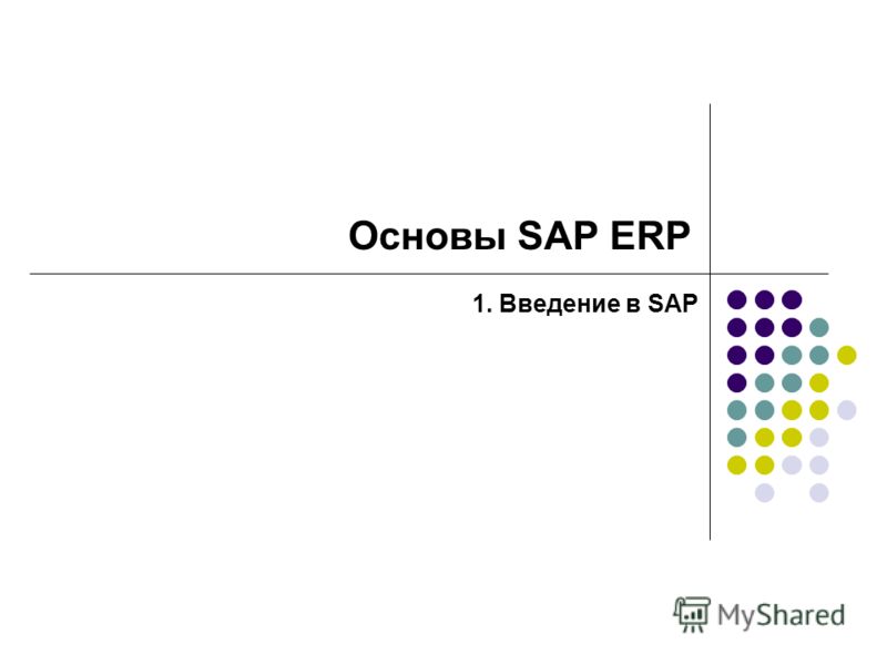 Основы SAP ERP 1. Введение в SAP
