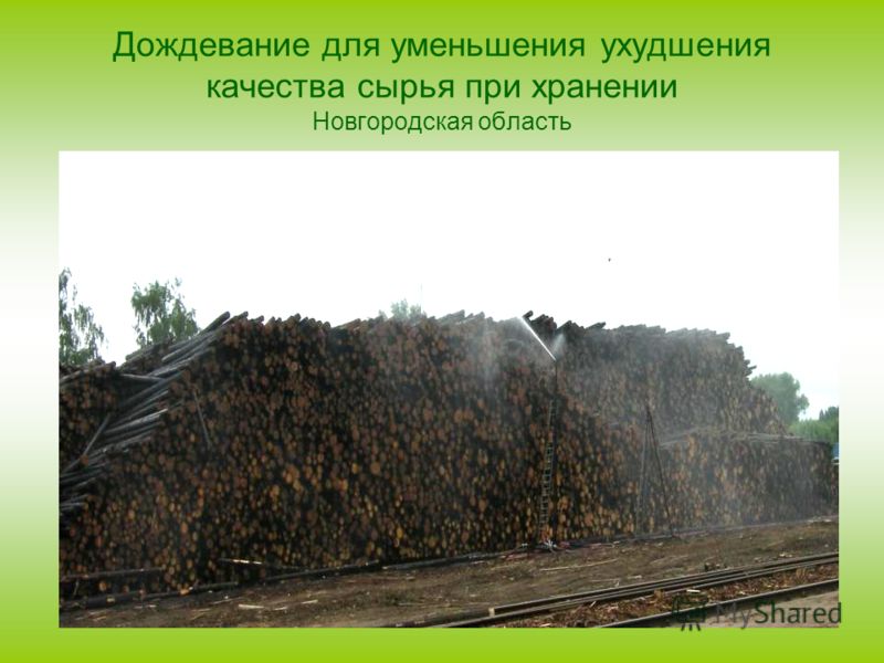 Дождевание для уменьшения ухудшения качества сырья при хранении Новгородская область