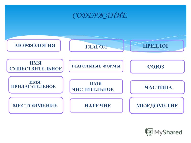 морфология русского языка учебник