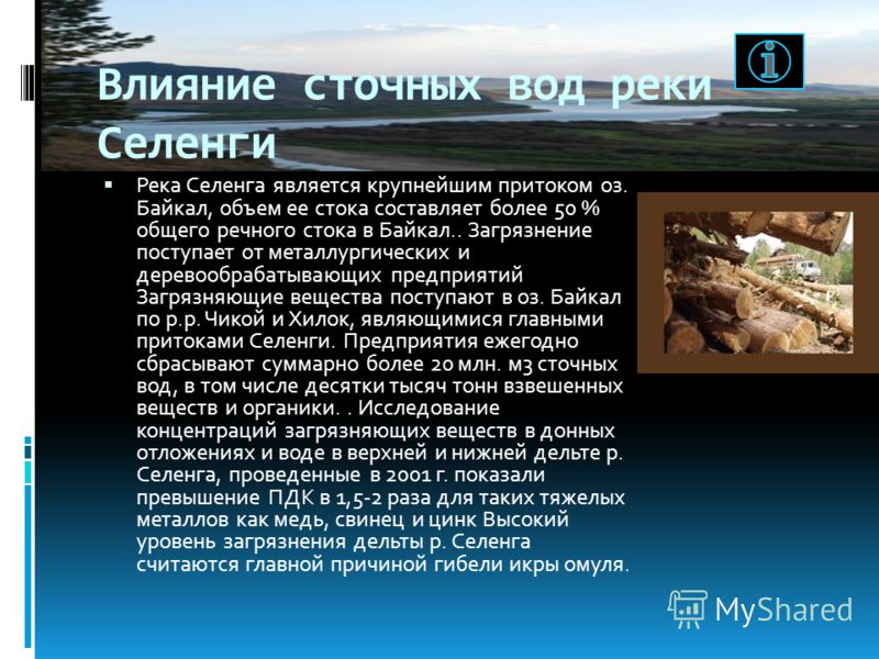 Влияние сточных вод реки Селенги Река Селенга является крупнейшим притоком оз. Байкал, объем ее стока составляет более 50 % общего речного стока в Байкал.. Загрязнение поступает от металлургических и деревообрабатывающих предприятий Загрязняющие веще