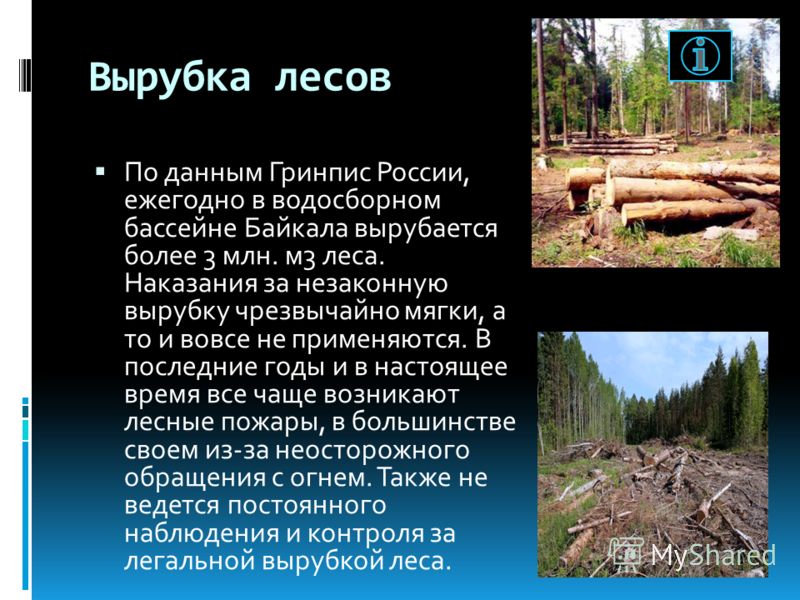Вырубка лесов По данным Гринпис России, ежегодно в водосборном бассейне Байкала вырубается более 3 млн. м3 леса. Наказания за незаконную вырубку чрезвычайно мягки, а то и вовсе не применяются. В последние годы и в настоящее время все чаще возникают л