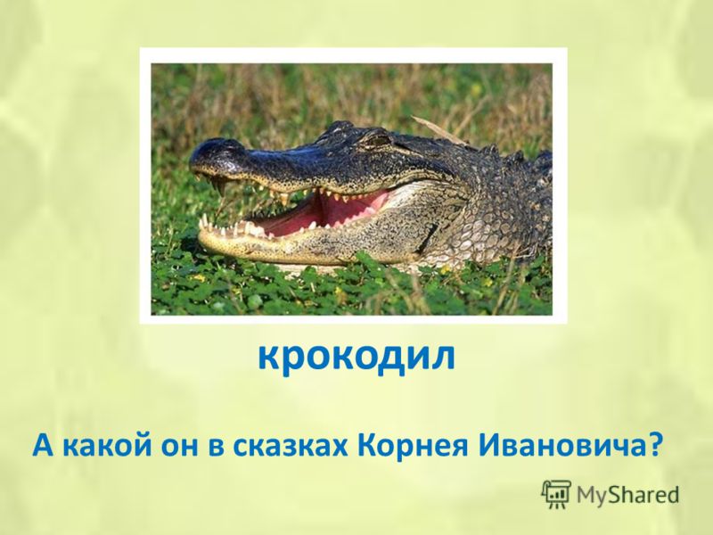крокодил А какой он в сказках Корнея Ивановича?