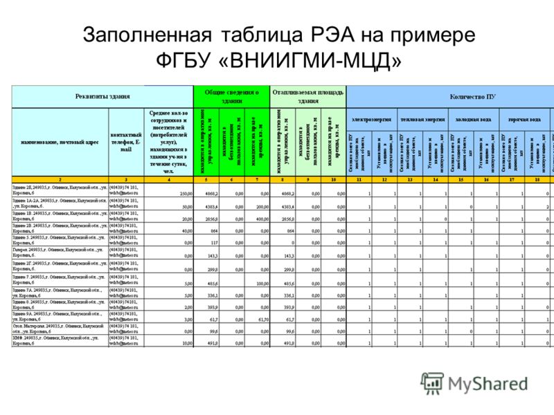Заполненная таблица РЭА на примере ФГБУ «ВНИИГМИ-МЦД»