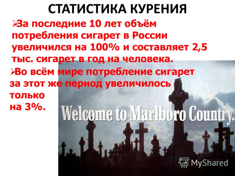 СТАТИСТИКА КУРЕНИЯ За последние 10 лет объём потребления сигарет в России увеличился на 100% и составляет 2,5 тыс. сигарет в год на человека. Во всём мире потребление сигарет за этот же период увеличилось только на 3%.