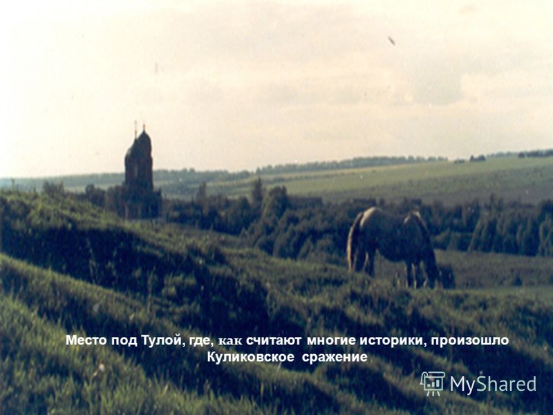 Место под Тулой, где, как считают многие историки, произошло Куликовское сражение