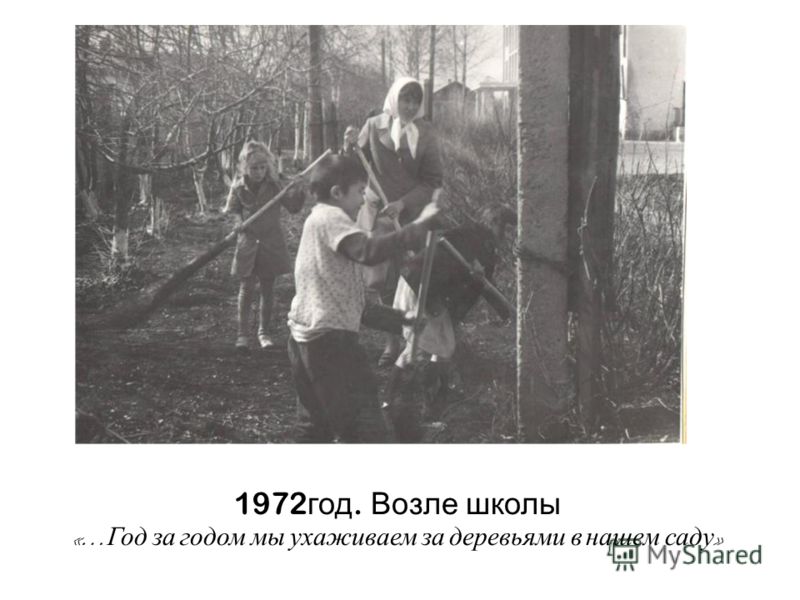 1972 год. Возле школы «… Год за годом мы ухаживаем за деревьями в нашем саду »