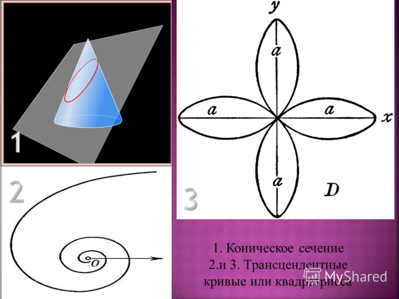 1. Коническое сечение 2.и 3. Трансцендентные кривые или квадратрисса