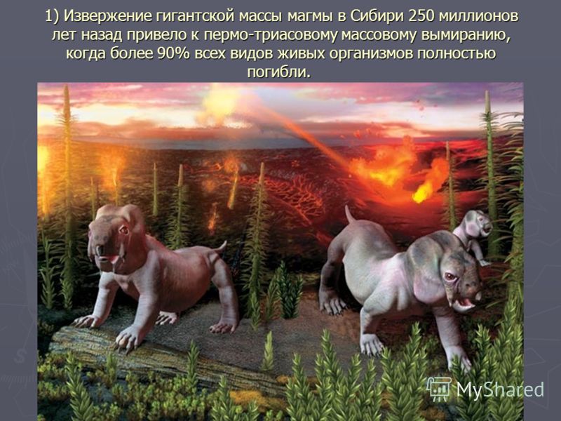 1) Извержение гигантской массы магмы в Сибири 250 миллионов лет назад привело к пермо-триасовому массовому вымиранию, когда более 90% всех видов живых организмов полностью погибли. 1) Извержение гигантской массы магмы в Сибири 250 миллионов лет назад