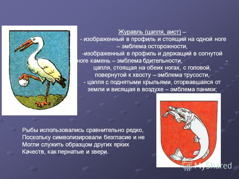 Девушка стоящая на одной ноге Девушка стоящая на одной ноге