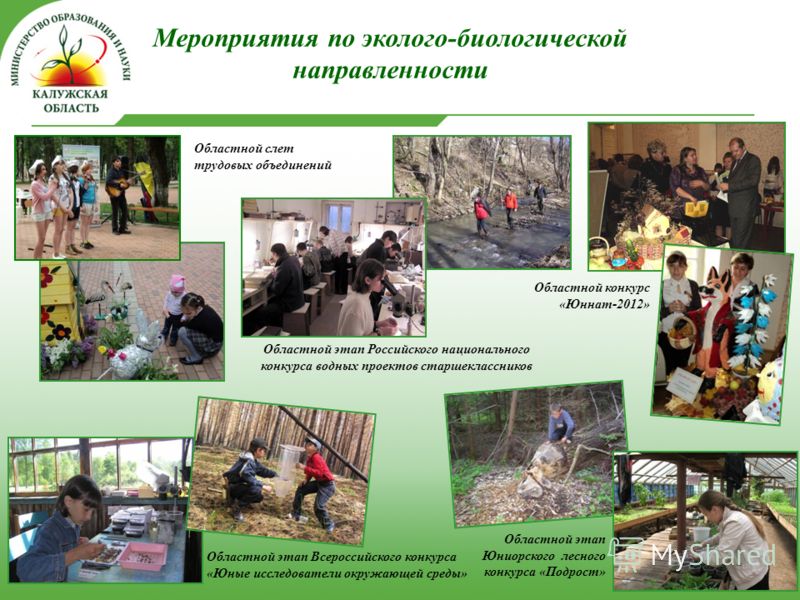 Работа для биолого экологического конкурса Работа для биолого экологического конкурса